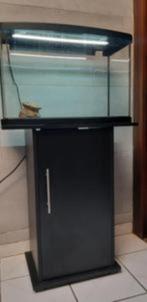 60l aquarium, Ophalen, Zo goed als nieuw, Leeg aquarium