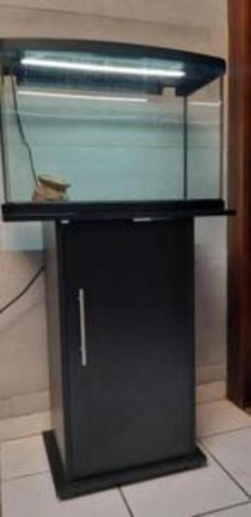 60l aquarium beschikbaar voor biedingen