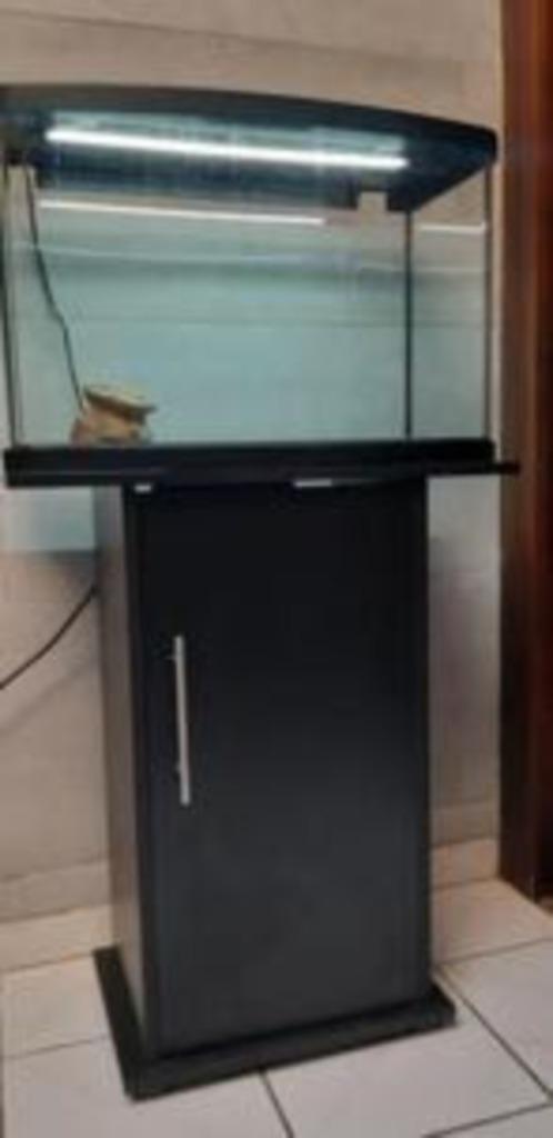 60l aquarium, Dieren en Toebehoren, Vissen | Aquaria en Toebehoren, Zo goed als nieuw, Leeg aquarium, Ophalen