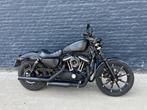 Harley Davidson sportster abs 2020 met garantie, Motoren, 2 cilinders, Chopper, Bedrijf, 883 cc