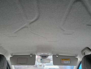 HEMELBEKLEDING Renault Zoé (AG) (01-2012/-) beschikbaar voor biedingen