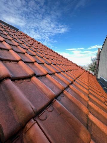 Stormpan 44 Natuurrood beschikbaar voor biedingen