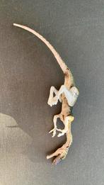 Jurassic park 04 Coelophysis, Kinderen en Baby's, Speelgoed | Actiefiguren, Ophalen