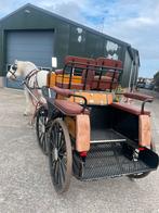 Boullonais merrie, Paard