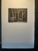 Collectie Etsen Willem Dolphyn 10 stuks, Antiek en Kunst, Kunst | Etsen en Gravures, Ophalen