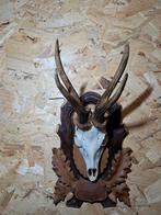 Reebok très spécial sur bouclier en bois sculpté à la main -, Enlèvement ou Envoi, Comme neuf, Animal sauvage, Bois ou Tête