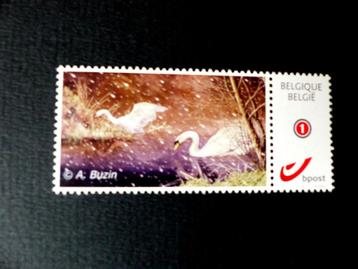 Mystamp / Duostamp Buzin - Oiseaux : Cygne MPO (2012), Enlèvement ou Envoi, Neuf