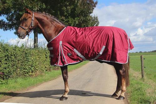 Profi-Rider Winterdeken Waterdicht 200g Burgundy 185tm215, Animaux & Accessoires, Chevaux & Poneys | Couvertures & Couvre-reins