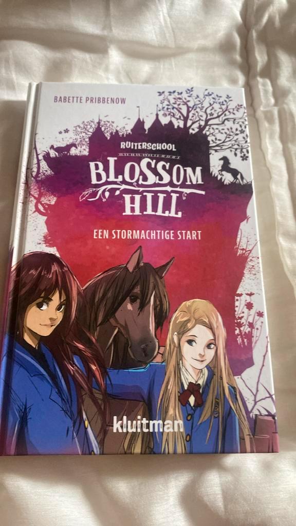 Babette Pribbenow - Een stormachtige start, Boeken, Kinderboeken | Jeugd | onder 10 jaar, Zo goed als nieuw, Ophalen