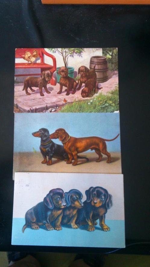 Ansichtkaarten, puppies en ouders, Verzamelen, Postkaarten | België, Gelopen, Brussel (Gewest), Voor 1920, Verzenden