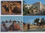 4 pk kamelen gelopen, Verzamelen, Postkaarten | Dieren, Gelopen, Overige soorten, Verzenden