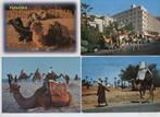 Des chameaux de 4 CV marchaient, Collections, Cartes postales | Animaux, Affranchie, Autres, Envoi