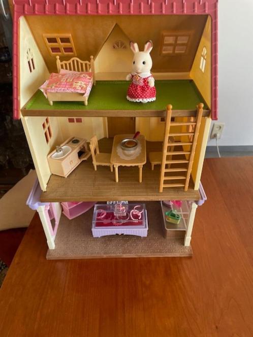 Sylvanian Familie Boutique cadeauset 5234 en Home, Kinderen en Baby's, Speelgoed | Poppenhuizen, Gebruikt, Accessoires, Ophalen of Verzenden