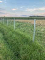 Tuin weide palen staken grijze galva op lengte gemaakt