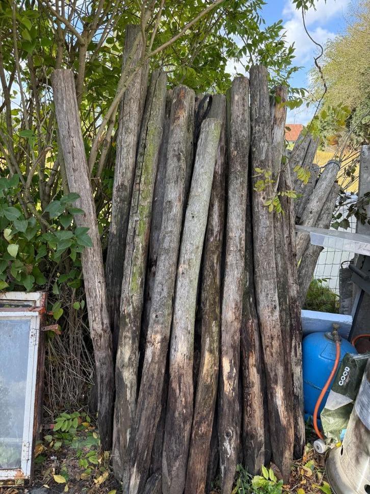 WEIDEPALEN  ROBINIA EN KASTANJE. 8€ st, Jardin & Terrasse, Poteaux, Poutres & Planches, Utilisé, Poteaux, Bois dur, Enlèvement