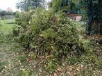 gratis snoeiafval van haag, Tuin en Terras, Ophalen, Haag