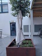 Parasol, Ophalen, Gebruikt, Verstelbaar, Stokparasol