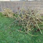 Bois gratuit a donné, Enlèvement ou Envoi