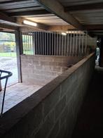 Stalling met vrijeweidegang gelegen in bosrijke omgeving, Dieren en Toebehoren, Weidegang, 1 paard of pony