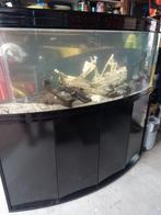 Aquarium 450 litres avec éclairage LED, Animaux & Accessoires, Enlèvement, Comme neuf