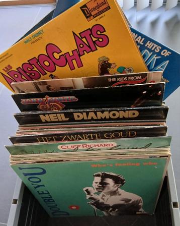lot vinyl (80 stuks lp's en maxi's) beschikbaar voor biedingen