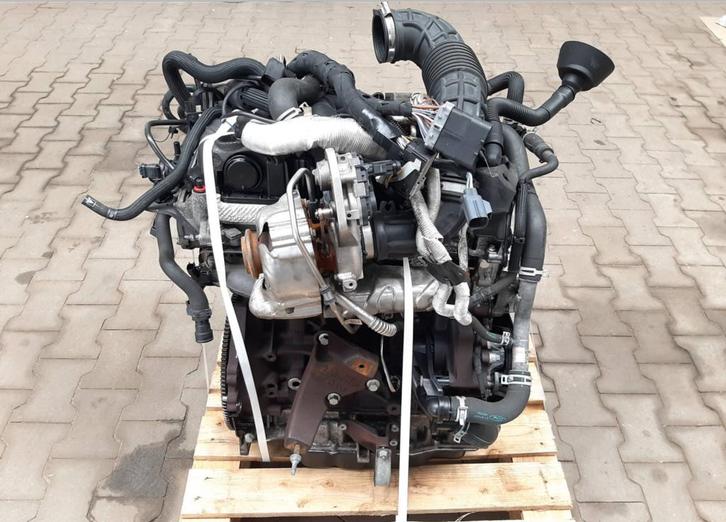 Complete motor Ford Transit Mk8 Custom 2.0 Ecoblue Frontantr, Auto-onderdelen, Motor en Toebehoren, Ford, Gebruikt, Ophalen of Verzenden