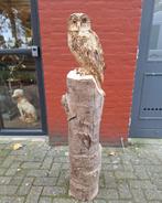 Prachtig houtsnijwerk houtsculptuur van een Uil van hout, Antiek en Kunst, Ophalen of Verzenden