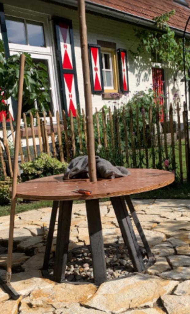 Boombeschermers Ø50 x H50 cm Sterke boomafscherming, Tuin en Terras, Planten | Bomen, Ophalen