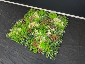 Kunsthaag 100x100 cm beschikbaar voor biedingen