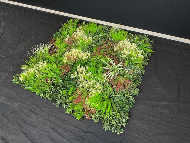 Kunsthaag 100x100 cm, Huis en Inrichting, Woonaccessoires | Kunstplanten en Kunstbloemen, Nieuw, Binnen, Buiten, Ophalen of Verzenden