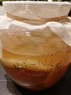 Scoby voor Kombucha, Enlèvement ou Envoi