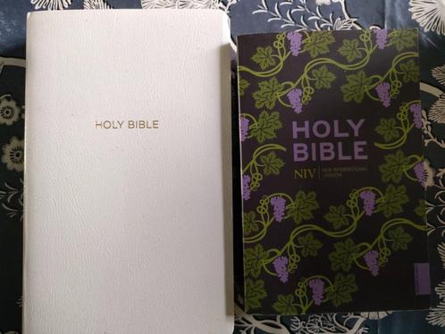Bijbels, Boeken, Godsdienst en Theologie, Zo goed als nieuw, Ophalen of Verzenden