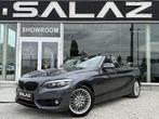 BMW 218 Cabrio 218iA_NAVI_JANTES ALU_BAUTO_CUIR_LED, Auto's, BMW, Automaat, 4 zetels, Bedrijf, Lederen bekleding