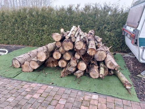 Brandhout, Tuin en Terras, Brandhout, Stammen, Ophalen of Verzenden