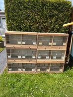 Cage d’élevage, Gebruikt, Hout, Broedkooi of Kweekkooi