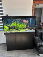 Aquarium Juwel Rio 350, Animaux & Accessoires, Enlèvement, Comme neuf