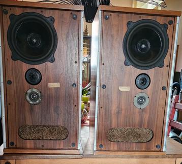 2 haut-parleurs vintage haut de gamme B&W DM, 1 ok et 1 défe, Enlèvement, Utilisé, Haut-parleurs Frontaux, Arrière ou Stéréo, Bowers & Wilkins (B&W)