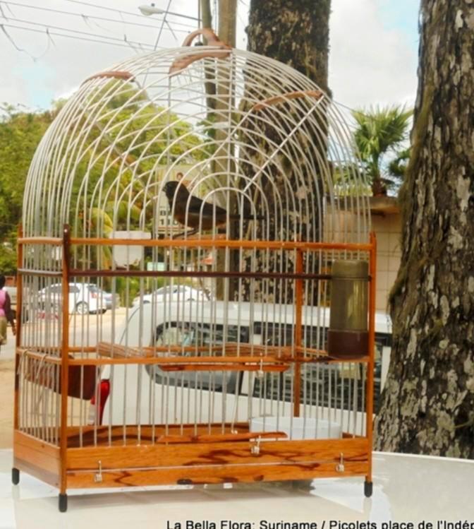 Cage de Suriname avec plexiglas, Animaux & Accessoires, Oiseaux | Cages & Volières, Comme neuf, Cage à oiseaux, Autres matériaux