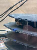 L236 SW zeer mooie groep, Dieren en Toebehoren, Vissen | Aquariumvissen