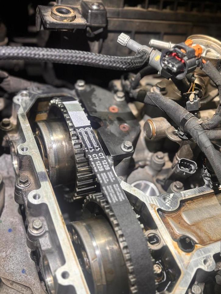 Distributie riem peugeot/citroen, Auto-onderdelen, Motor en Toebehoren, Peugeot, Ophalen