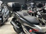 Honda Forza 300 2020 [12562 km], Motoren, Motoren | Honda, Scooter, 300 cc, Bedrijf, 1 cilinder