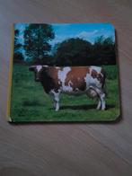 Kleine fotokartonboeken set 24 ex., Livres, Livres d'images & Albums d'images, Enlèvement ou Envoi