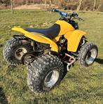 Quad suzuki lt80 / rm85 modified, Motoren