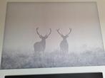 Ikea canvas natuurbeeld zwart wit  200x140cm, Comme neuf, Enlèvement