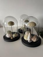 3 stolpen - met zee-egel schelpen, Ophalen of Verzenden, Zo goed als nieuw
