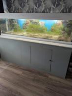 Gratis 2meter 60x60 aquarium, Ophalen, Gebruikt, Leeg aquarium