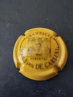 Champagne of bier capsule kleur geel en zwart, Verzamelen, Ophalen, Zo goed als nieuw