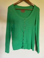 Groene gilet La Gaviotta maat 7 (XL), Kleding | Dames, Truien en Vesten, Maat 46/48 (XL) of groter, Ophalen of Verzenden, Zo goed als nieuw