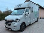 Renault KRISMAR 2- paardencamionette Hengstenuitvoering, Ophalen, Gebruikt, Aluminium, 2-paards trailer