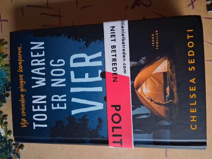 Chelsea Sedoti - Toen waren er nog vier, Boeken, Kinderboeken | Jeugd | 13 jaar en ouder, Zo goed als nieuw, Ophalen